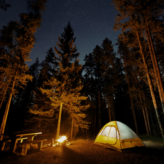 Camping with a Viral Twist: Must-Have Gear from TikTok